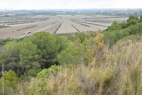 L'étang de Montady asséché à Ensérune. France photo