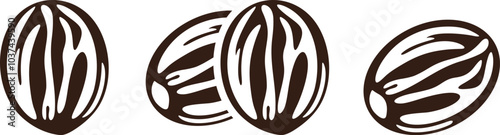 Nutmeg logo. Isolated nutmeg on white background