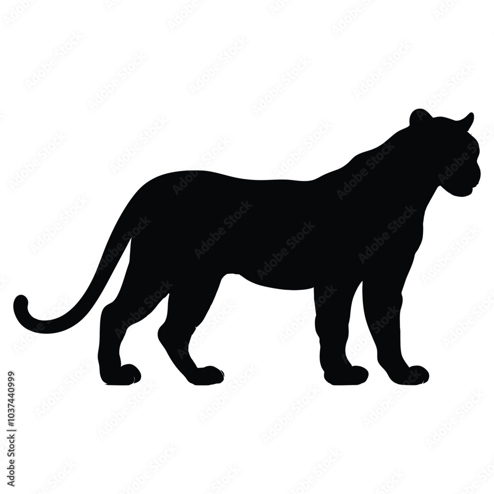 Obraz premium Cheetah Silhouette