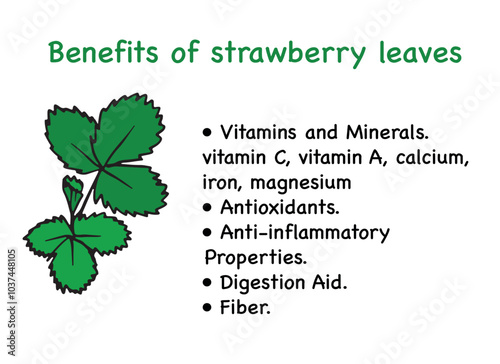 health benefits of strawberry leaves poster, vitamins, antioxidants, anti-inflammatory properties, and digestive aid. Ideal for nutrition blogs, herbal recipe, health banner, educational posters.