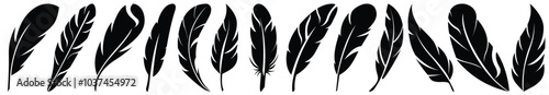 Bird feather icons vector illustration.