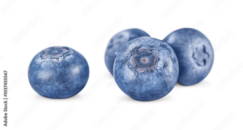 Four ripe blueberries isolated on white background Four ripe blueberries isolated on white background