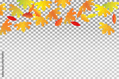 Autumn foliage of oak, maple. Abstract characteristics of November season tree foliage.Vector.EPS10