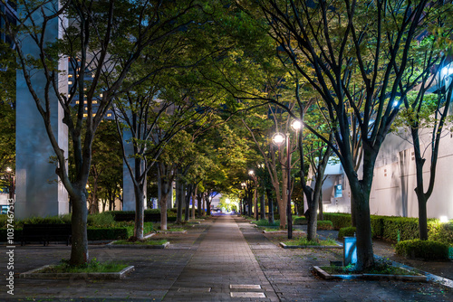 街灯が明るい木々に囲まれた夜の公園