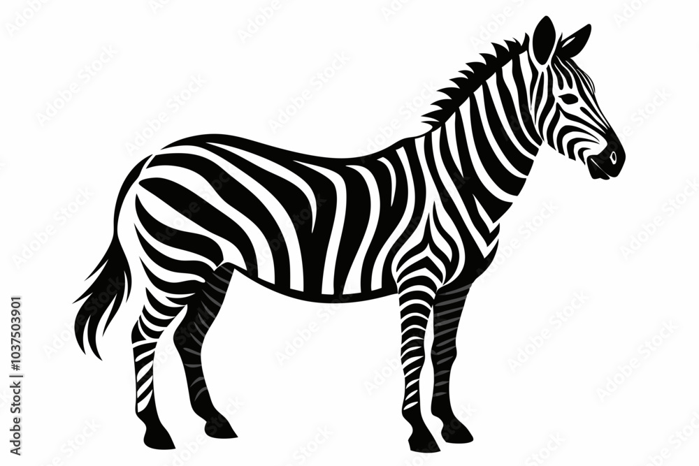 Zebra silhouette vector illustration on white background Zebra silhouette vector illustration on white background