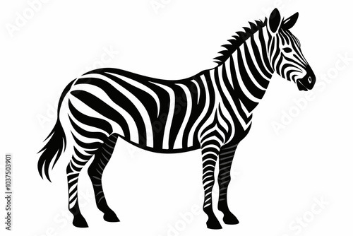 Zebra silhouette vector illustration on white background