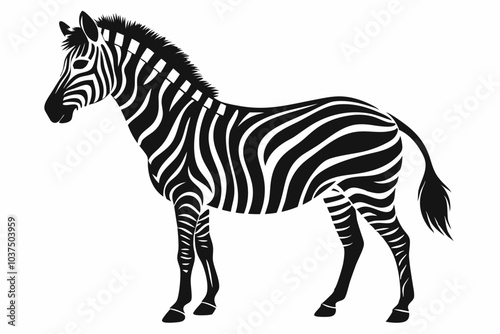 Zebra silhouette vector illustration on white background