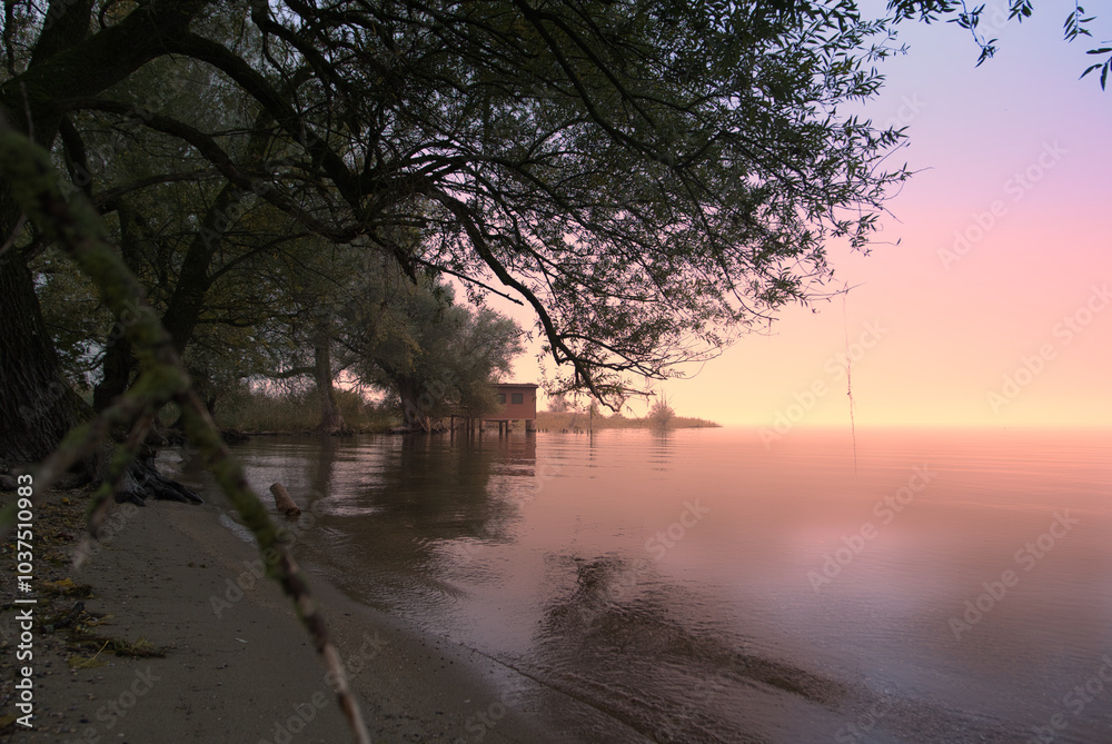 A beautiful early morning scene captures a tiny home by the lake, surrounded by a lush, dense forest, creating a serene and picturesque view. A beautiful early morning scene captures a tiny home by the lake, surrounded by a lush, dense forest, creating a serene and picturesque view.