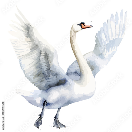 Fototapeta Naklejka Na Ścianę i Meble -  Vector Illustration of Flying Swan, isolated on a white background, Swan vector