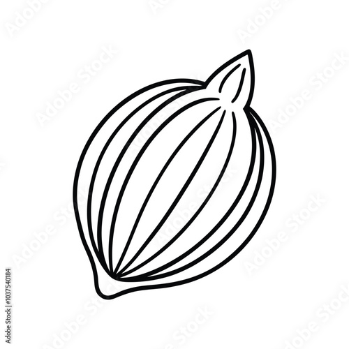 Cardamom icon with outline style. Vector line icons on white background.