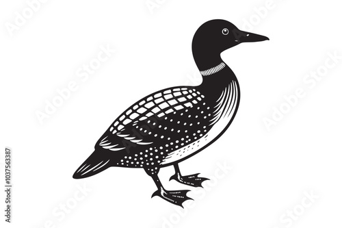 Loon silhouette  vector illustration, Loon silhouette, Loon silhouette  PNG photo