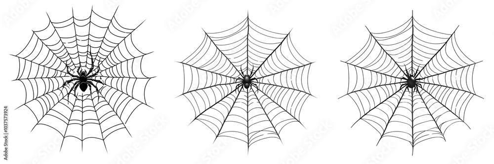 Fototapeta premium Set of A Vector sticker of a black spider web on a transparent background cutout, PNG file.
