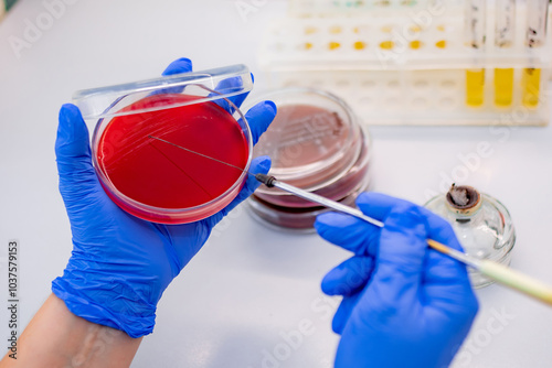 bacteriological research