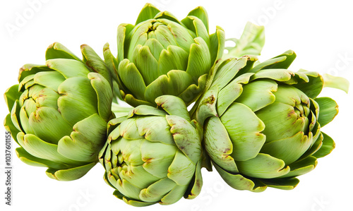 Artichoke isolated and vegetable vegetarian with organic healthy green fresh raw plant, whole leaves and heart with gourmet thistle slices photo