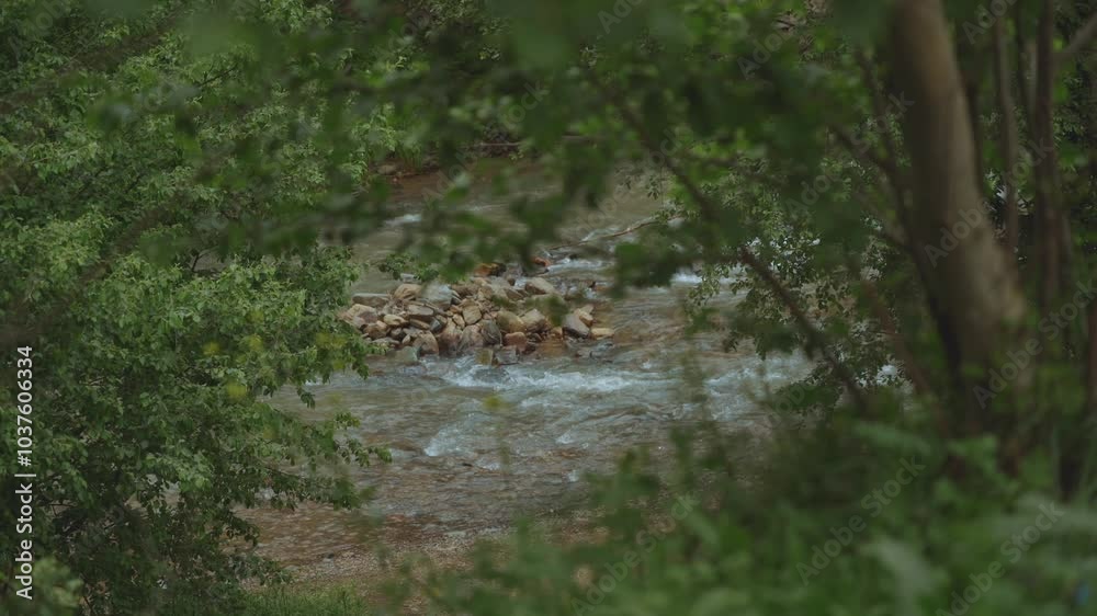 Mountain river, stormy stream, stream in nature, nature of the Caucasus Mountain river, stormy stream, stream in nature, nature of the Caucasus