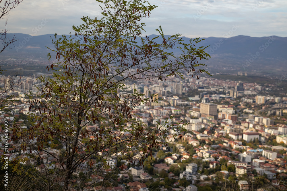 Naklejka premium Skopje, a thriving urban panorama The city of Skopje, seen from above Aerial view of the Macedonian capital Skopje, a mosaic of colors and shapes where the mountains meet the metropolis.