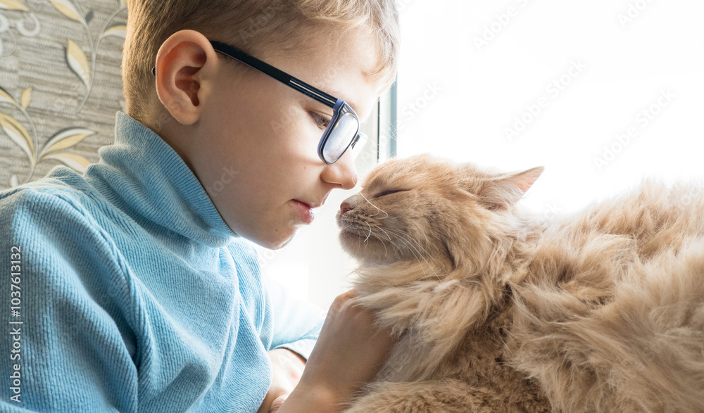 A child, a boy plays with his favorite fluffy red cat by the window. A child strokes a cat. Attachment between children and pets. The funny life of cats at home