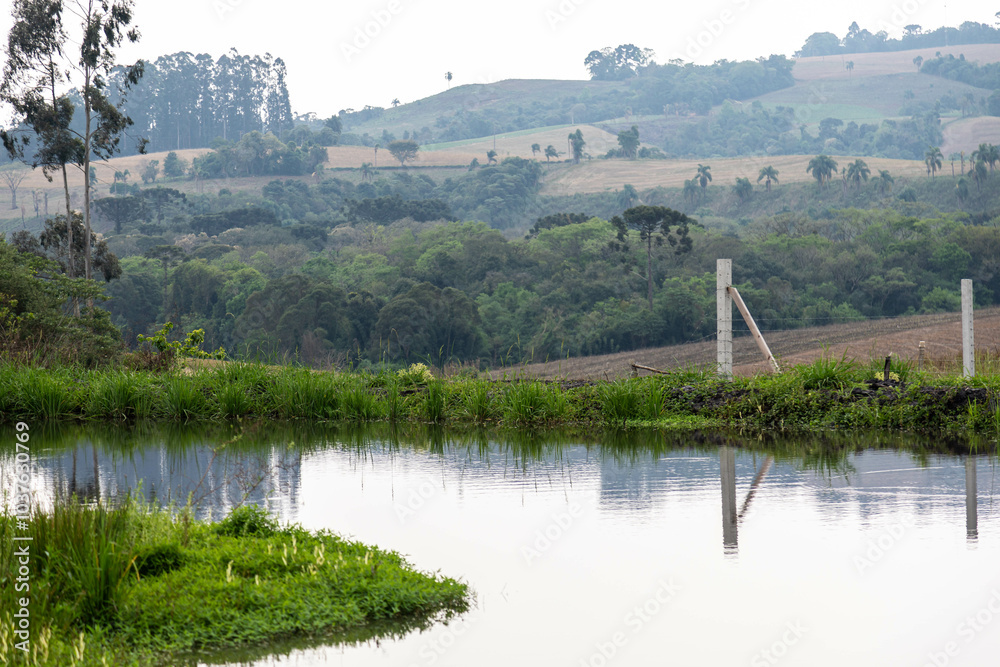 Natural wild landscape of the Atlantic Forest and Brazilian rainforest Natural wild landscape of the Atlantic Forest and Brazilian rainforest