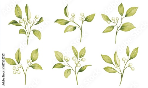 Wallpaper Mural A set of six green leaves with white flowers Torontodigital.ca