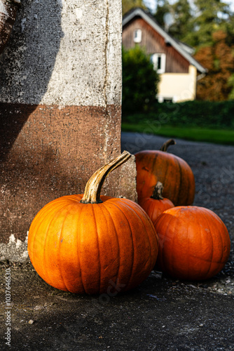 A simple halloween, fall harvest and thanksgiving themed decor consisting of one single pumpkin put in front of the entrance door of a brick house. Low angle image shows the stairs and metal railings.