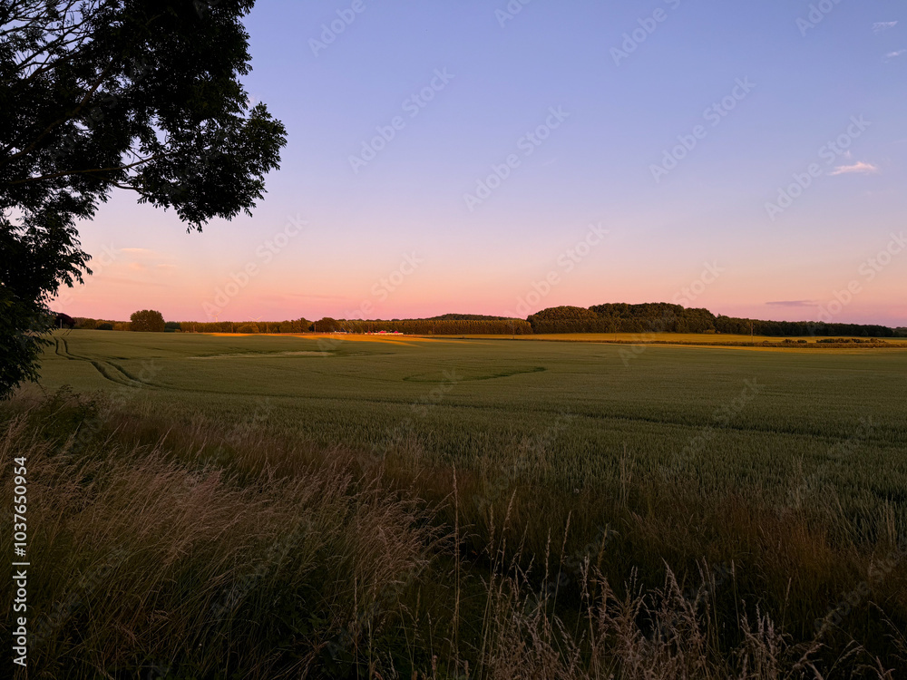 Obraz premium Sunset over the field