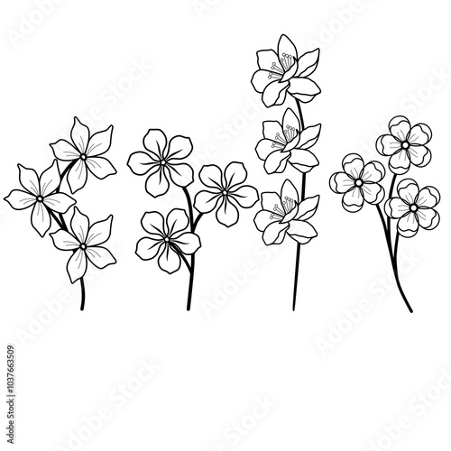 branch of a tree with flowers blossom hand drawn illustration vector