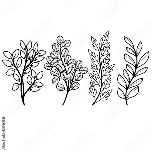 set of silhouettes of leaves vector illustration hand drawn