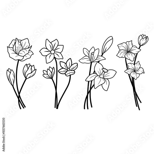 vector illustration of flowers hand drawn black and white
