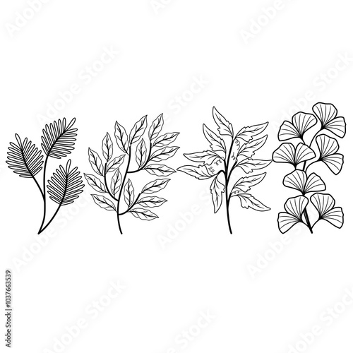 branch of a tree with leaves vector illustration hand darwn