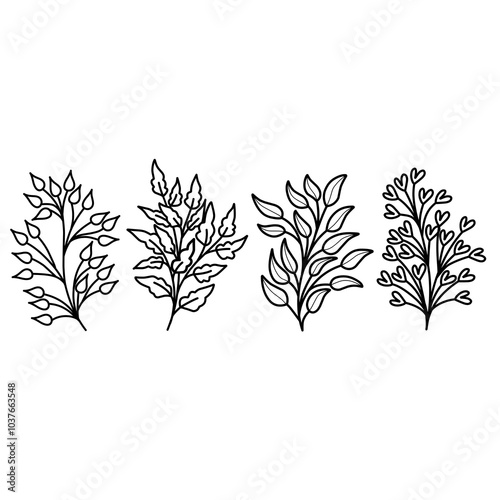 set of leaves black and white vector illustration