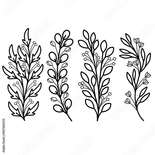 black and white floral element hand drawn vector illustration