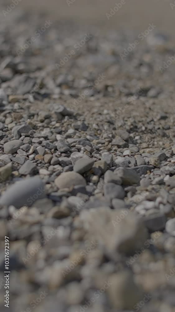 A CloseUp View of Natural Gravel and Various Stones Spread Across a Surface Area A CloseUp View of Natural Gravel and Various Stones Spread Across a Surface Area