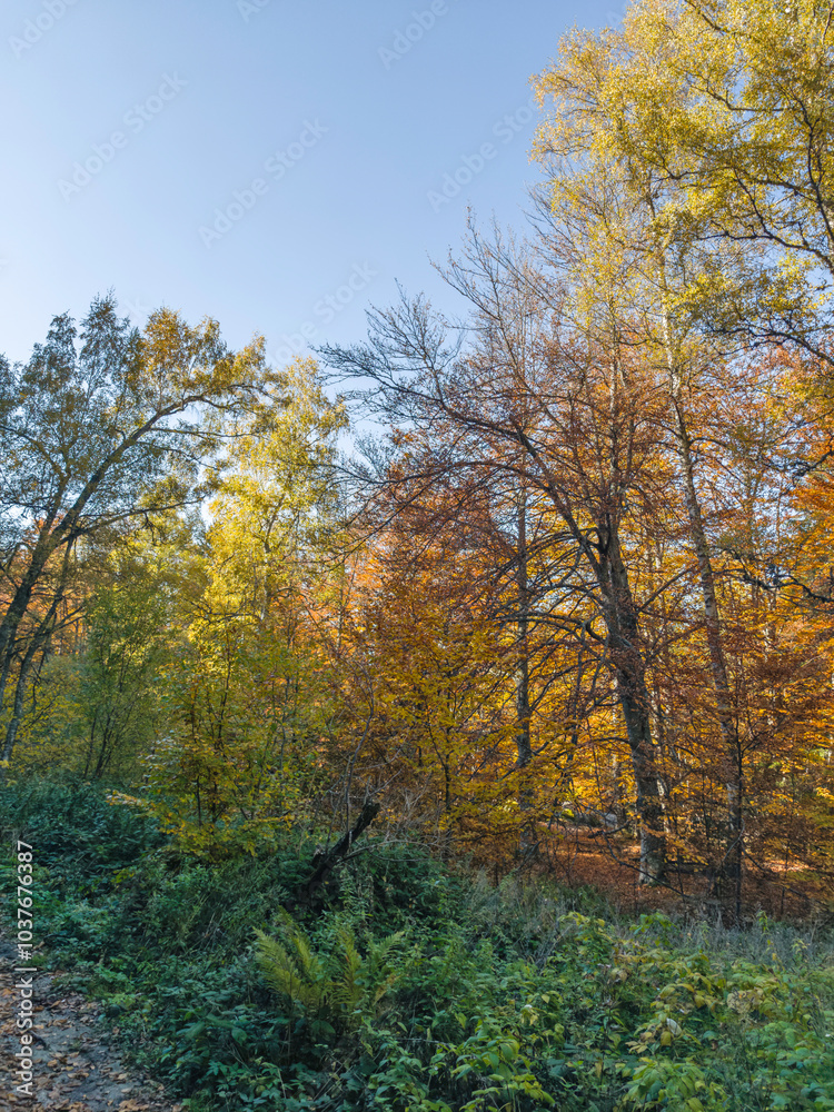 Autumn view of Vitosha Mountain, Bulgaria Autumn view of Vitosha Mountain, Bulgaria