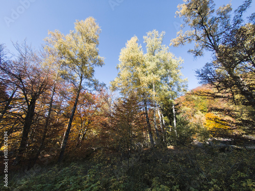 Autumn view of Vitosha Mountain, Bulgaria photo