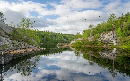 Serene Lake Reflections in a Forest Setting