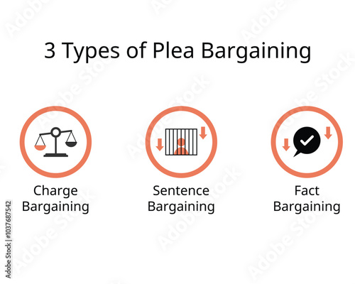 3 types of Plea Bargaining for charge bargaining, sentence, fact bargaining