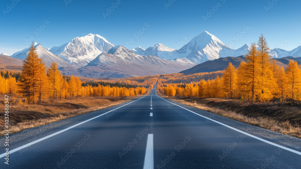 Fototapeta premium A picturesque road with a view of snow-capped mountains surrounded by a fall pine forest