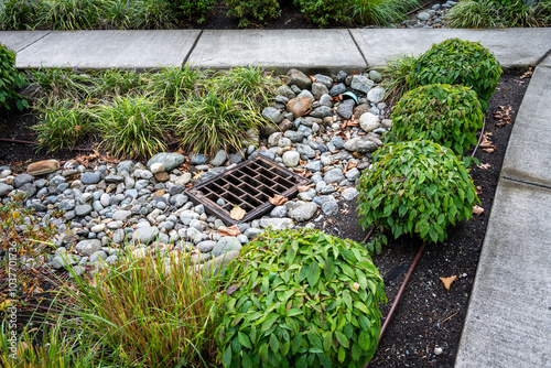 Photography Iron rectangular stormwater drain surrounded by small rocks and plants, cement s