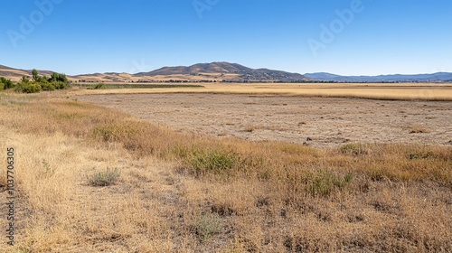 Parched grasslands during a severe drought increasing the likelihood of wildfire outbreaks Stock Photo with side copy space