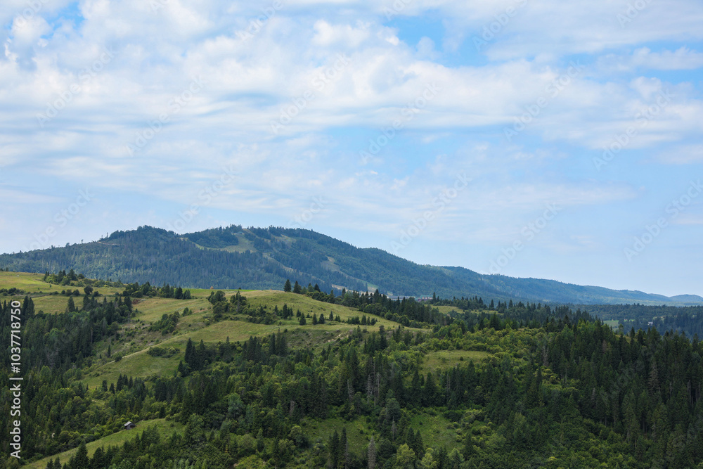 Fototapeta premium Beautiful view of forest in mountains under blue sky