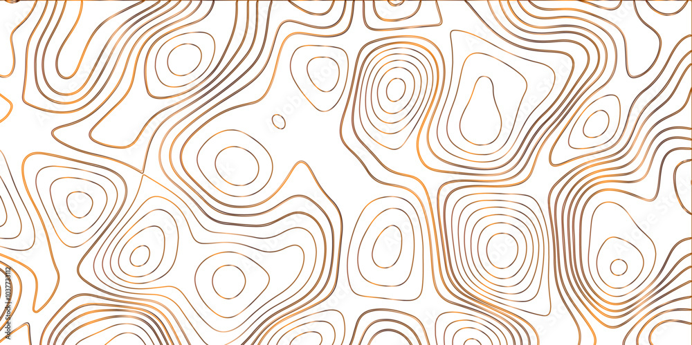 Obraz premium Topographic canyon geometric map relief texture with curved layers and shadow. abstract White background with a beautiful pattern, Topographic contour lines vector map seamless pattern vector. 