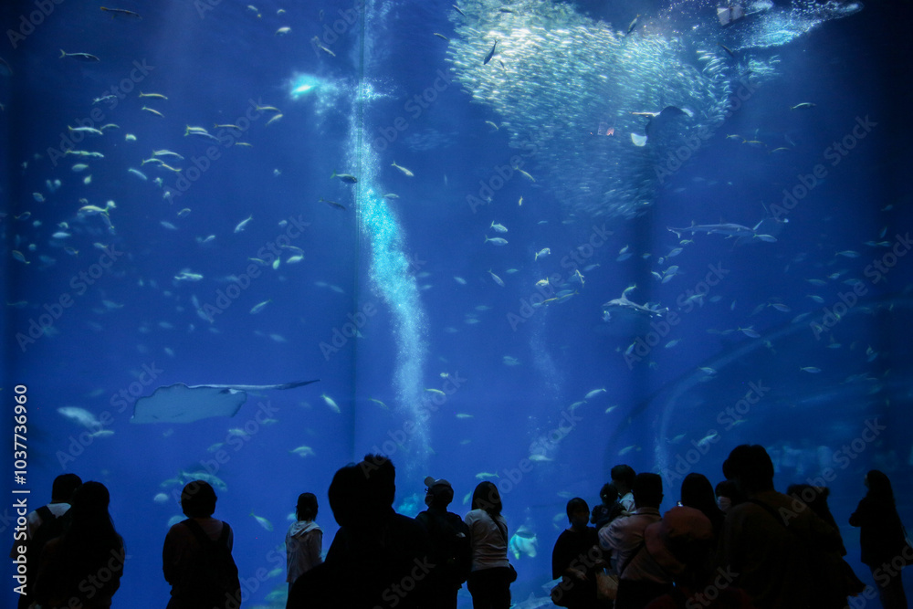 Naklejka premium 休日の水族館で過ごす人々