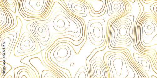 Wallpaper Mural Topographic canyon geometric map relief texture with curved layers and shadow. abstract White background with a beautiful pattern, Topographic contour lines vector map seamless pattern vector.	
 Torontodigital.ca
