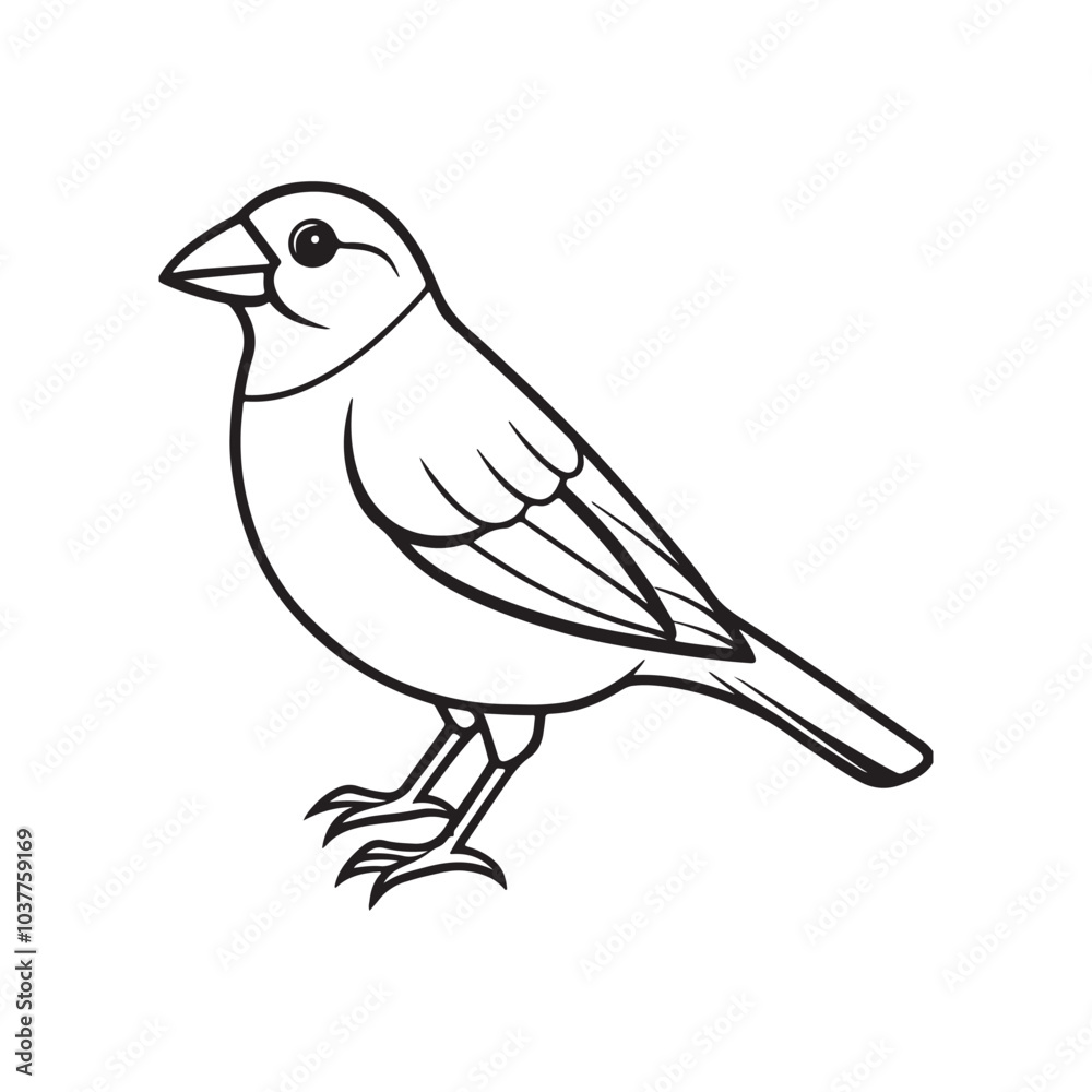 Obraz premium Finch bird line out art vector style with white background.
