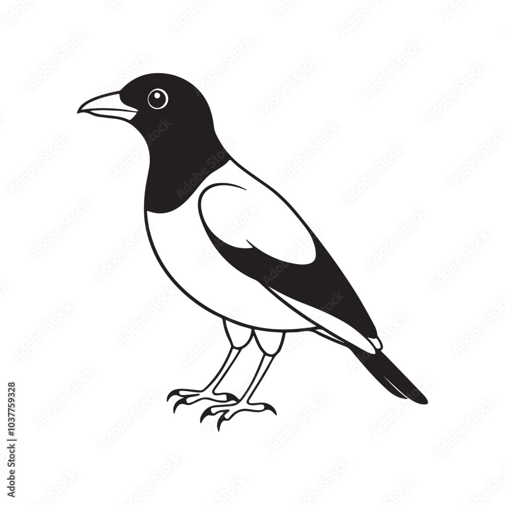 Obraz premium Mayna bird silhouette vector style with white background.