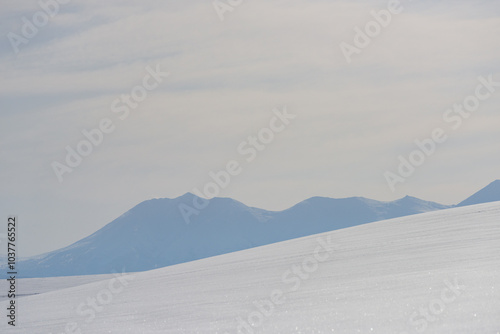 北海道 冬の美瑛の雪景色