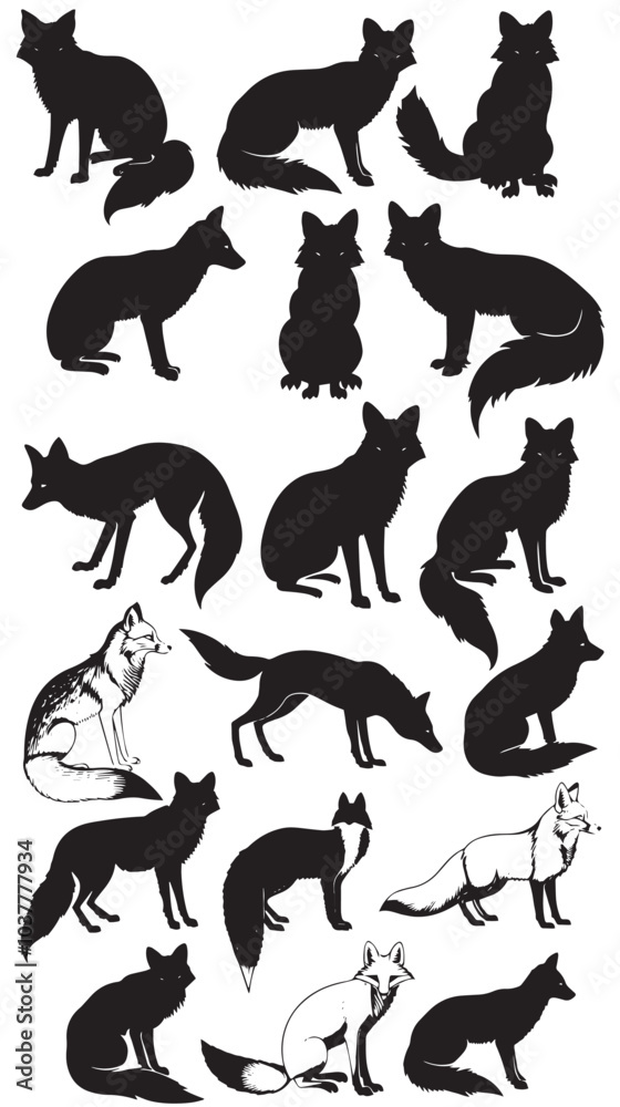 Fototapeta premium A collection of fox vector silhouettes , black silhouettes isolated on white background