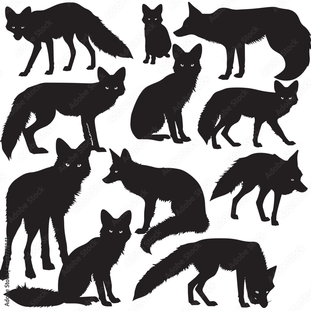 Fototapeta premium A collection of fox vector silhouettes , black silhouettes isolated on white background
