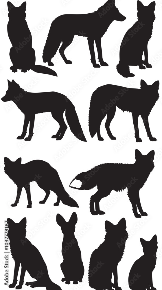 Fototapeta premium A collection of fox vector silhouettes , black silhouettes isolated on white background