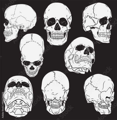 Premium Human Skull Vector Pack Black & White Full Set Silhouette